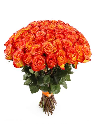 101 оранжевая роза с доставкой по Льгову